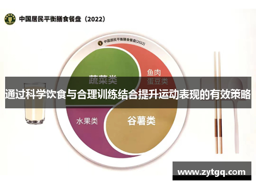 通过科学饮食与合理训练结合提升运动表现的有效策略