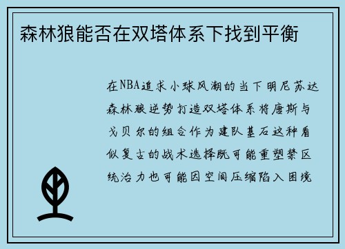 森林狼能否在双塔体系下找到平衡