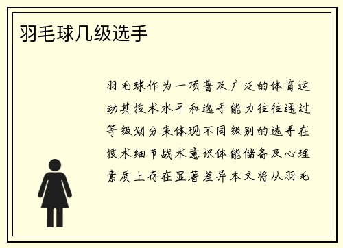 羽毛球几级选手