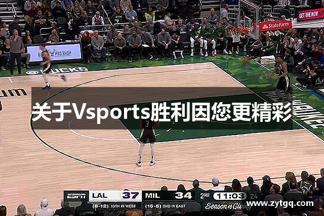 关于Vsports胜利因您更精彩